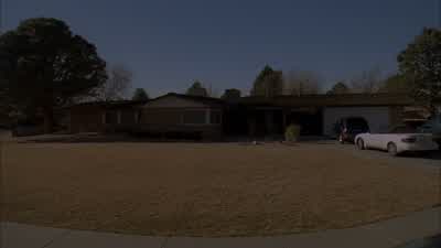 MIKE: What about that rhinoceros? - Breaking Bad