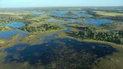 Mike's first challenge
is to choose a location for the crew - In the Footsteps of Elephant