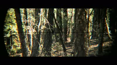Luttrell: Mikey. - Lone Survivor