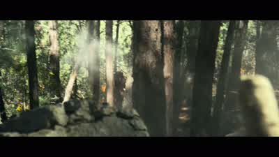 Mikey! Left is not good! I say again, left is not good! Roger that! Push right! - Lone Survivor