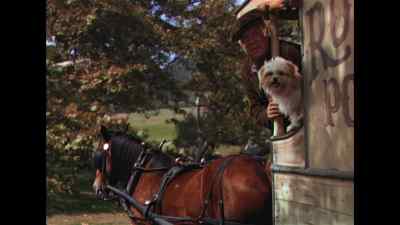 Milady don't want to go this way, Toots. - Lassie Come Home