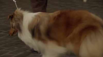 [ Milady whines ] - Ms Fisher's Modern Murder Mysteries