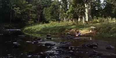 MILES DOWNSTREAM, PURE CHANCE
WOULD PLAY A PART IN THINGS. - The Incredible Journey
