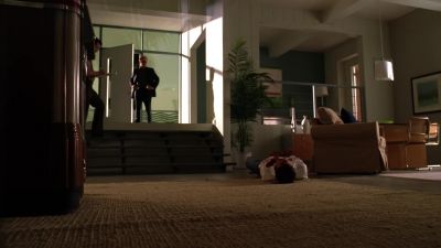 Million-dollar opportunity. - CSI: Miami
