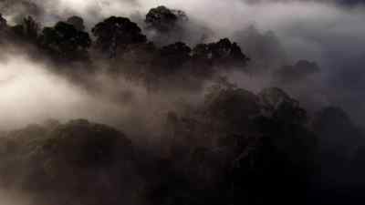 Millipedes are peaceful creatures, - Micro Monsters with David Attenborough