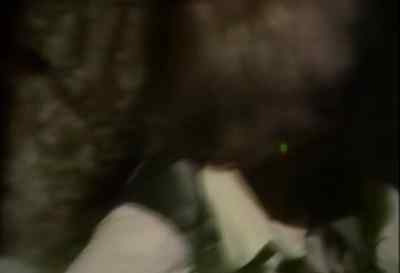 (Mina, distorted) Married... - Count Dracula