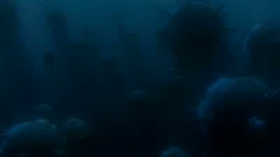 Mind your distance, though. - Finding Nemo