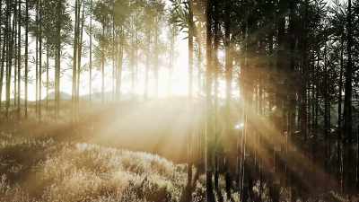 Mindfulness helped me
identify my negativity bias. - Is Mindfulness Right for You?