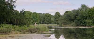 'Mine, brief and infrequent - The Hippopotamus