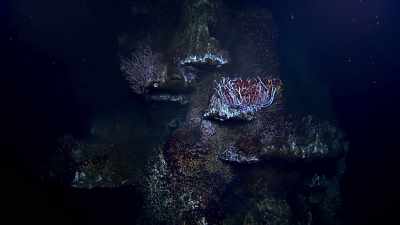 Minerals condensing from these jets - Blue Planet II