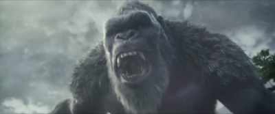 [mini-Kong growling] - Godzilla x Kong: The New Empire