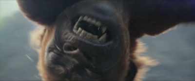 -[mini-Kong screeching]
-[Kong grunting] - Godzilla x Kong: The New Empire