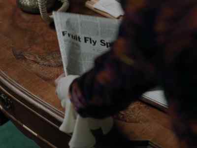 (Miranda)
All of Metropolis. - Lois & Clark: The New Adventures of Superman