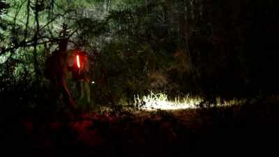 [Mireya]  And we're
 suddenly hot on the trail - Expedition Bigfoot