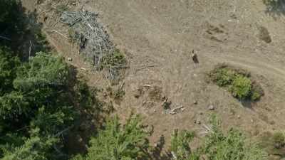 [Mireya]
 Being on a prey animal - Expedition Bigfoot