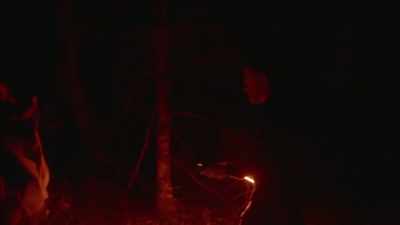 [Mireya]  I personally
 have never used an EMF. - Expedition Bigfoot