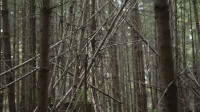 [Mireya]  I think Ronny has
 really strong - Expedition Bigfoot