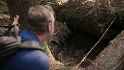 [mireya]  in a forest,
there are plenty - Expedition Bigfoot