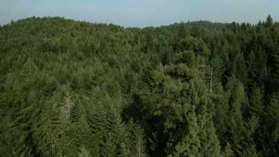 -[Mireya]  Let me know
 what you find.
-[Ronny]  I'll start over her - Expedition Bigfoot