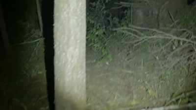  [Mireya] Repeatedly now,
  we are hearing these sounds - Expedition Bigfoot
