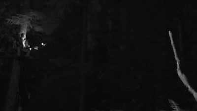 [Mireya] Ronny,
where I'm standing right now, - Expedition Bigfoot