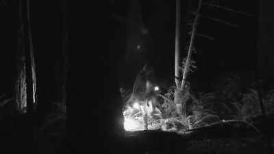 [Mireya speaking] - Expedition Bigfoot