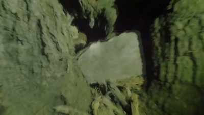 [Mireya talking] - Expedition Bigfoot