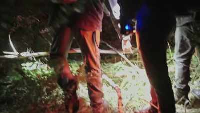 [Mireya] These all look like - Expedition Bigfoot