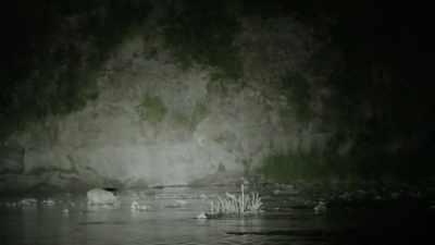  [Mireya] We've just gotten
  here, - Expedition Bigfoot