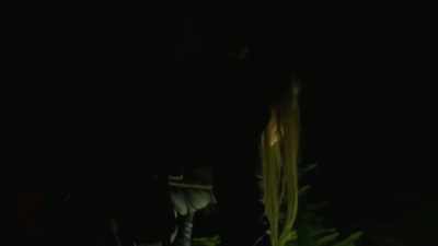 [Mireya whispering]
There's a really fresh - Expedition Bigfoot