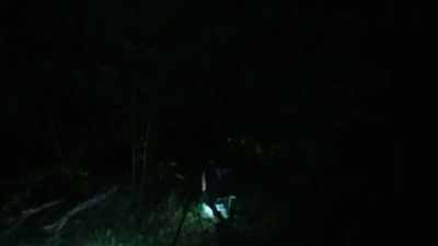 [Mireya] Yeah, look,
there's a big concrete slab
here. - Expedition Bigfoot