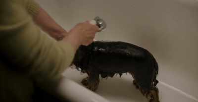 [Miriam] Come along,
it's about to midnight. Bed. - Surviving Christmas with the Relatives