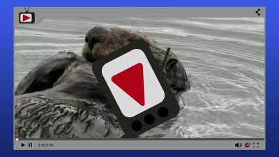 Mirren: Settle in and sit,
in slack‐jawed astonishment, - When Nature Calls with Helen Mirren