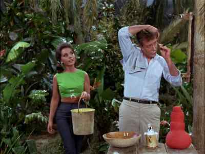 MIRROR, MIRROR,
ON THE WALL. - Gilligan's Island