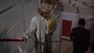 Miss Barrett, do you realize
you're going up the down staircase? - Up the Down Staircase
