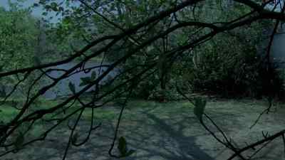 - Mist, elders make, look. - The Monster Club