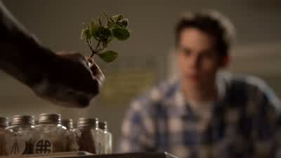 Mistletoe. - Teen Wolf