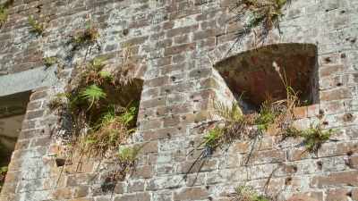 [Mitchell] They also needed
somewhere to hold
the imprisoned seminal people - Mysteries of the Abandoned