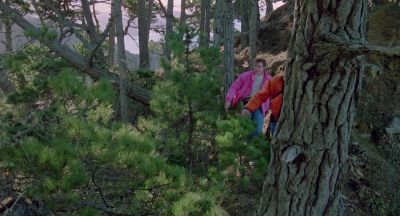 Miyagi doesn't sell this tree we're looking for - The Karate Kid Part III
