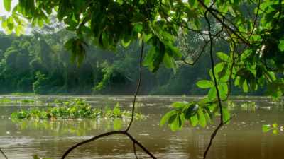 Mm‐hmm. It's praise dancing,
not pole dancing. - When Nature Calls with Helen Mirren