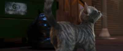 Mm-hmm, mm-hmm, - Gracie & Pedro: Pets to the Rescue