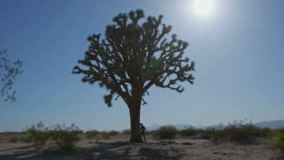 - Mm...
- (pats tree) - Trees and Other Entanglements