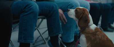 Mm, that smell. Is that why Bode
gets treats? Maybe if I… - A Dog's Journey