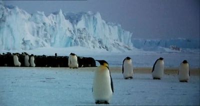 Mmm Is it 'cause my breath smells like ass - Farce of the Penguins