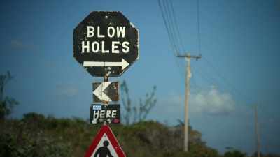 - Mmm.
- Mmm. [ Laughs ] - FBoy Island