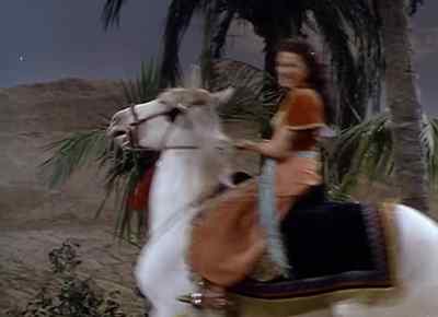 Mmm, ripe and tasty, here. - The Desert Hawk
