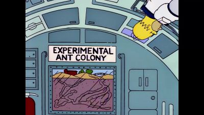 Mmm. - The Simpsons
