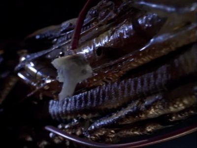 (moaning) - Farscape