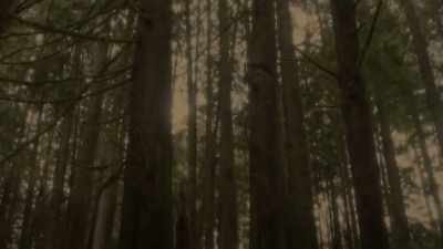 [moans] - The Journey Ahead
