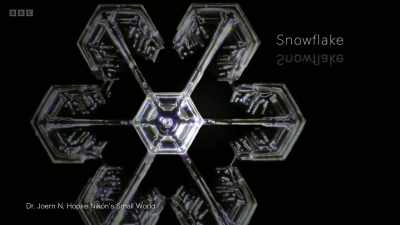 Modern optical microscopes
have uncovered a strange world - Secrets of Size: Atoms to Supergalaxies